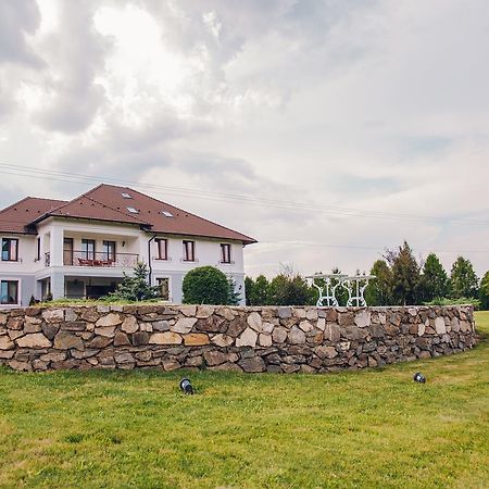 Hotel Conacul Dante Pianu de Jos Exteriér fotografie