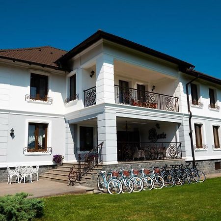 Hotel Conacul Dante Pianu de Jos Exteriér fotografie