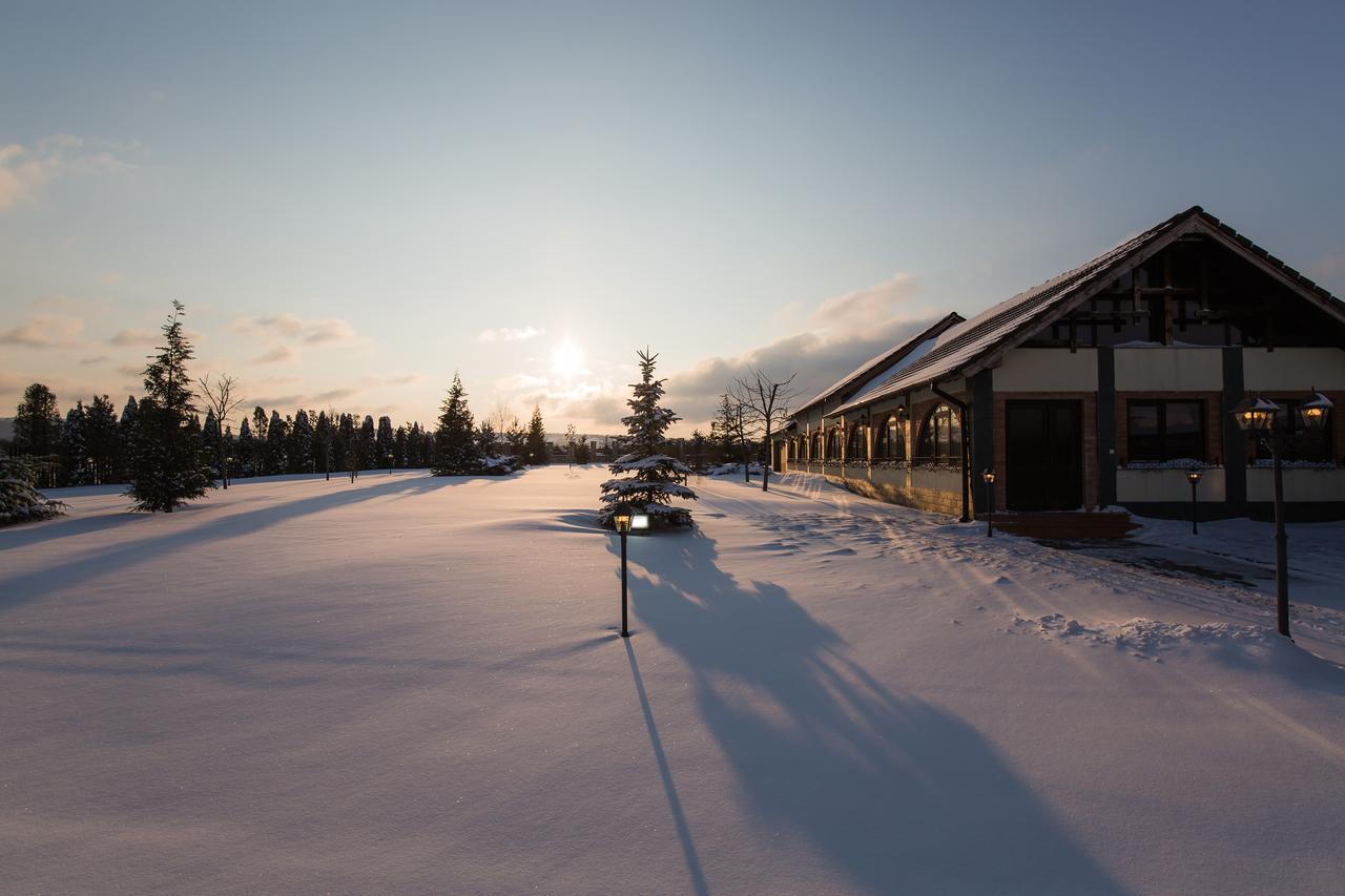 Hotel Conacul Dante Pianu de Jos Exteriér fotografie