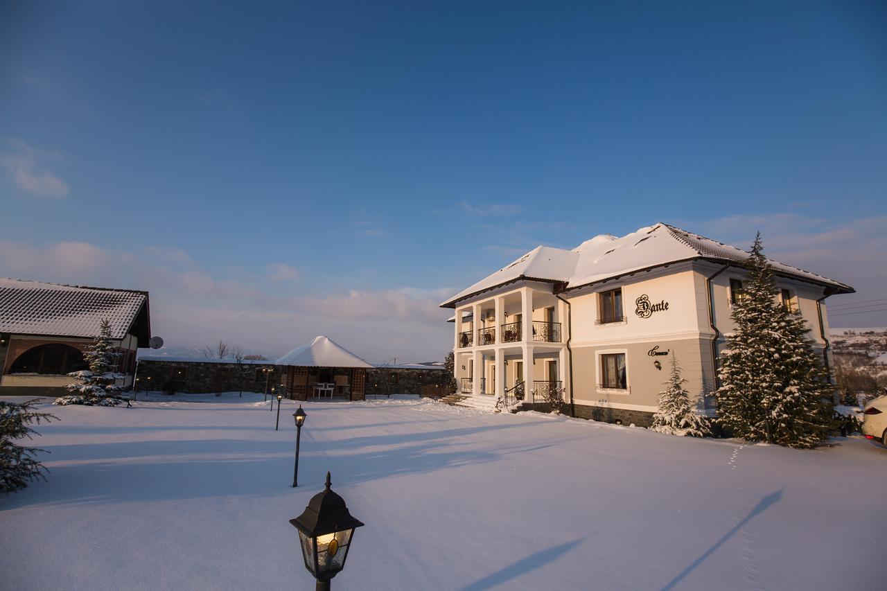 Hotel Conacul Dante Pianu de Jos Exteriér fotografie