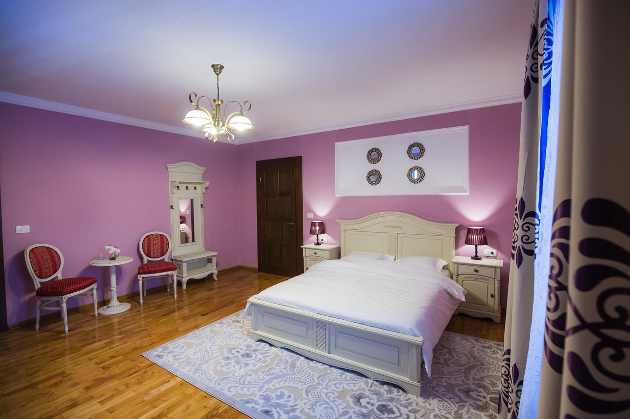 Hotel Conacul Dante Pianu de Jos Exteriér fotografie