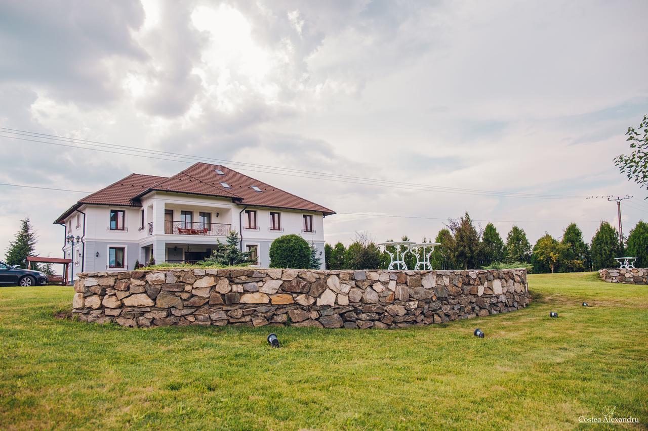 Hotel Conacul Dante Pianu de Jos Exteriér fotografie
