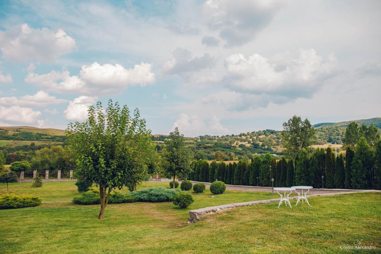 Hotel Conacul Dante Pianu de Jos Exteriér fotografie