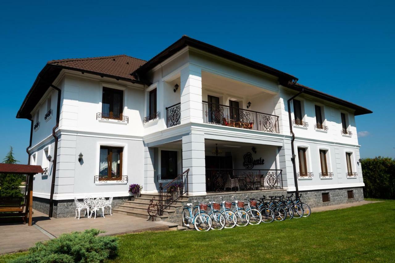 Hotel Conacul Dante Pianu de Jos Exteriér fotografie